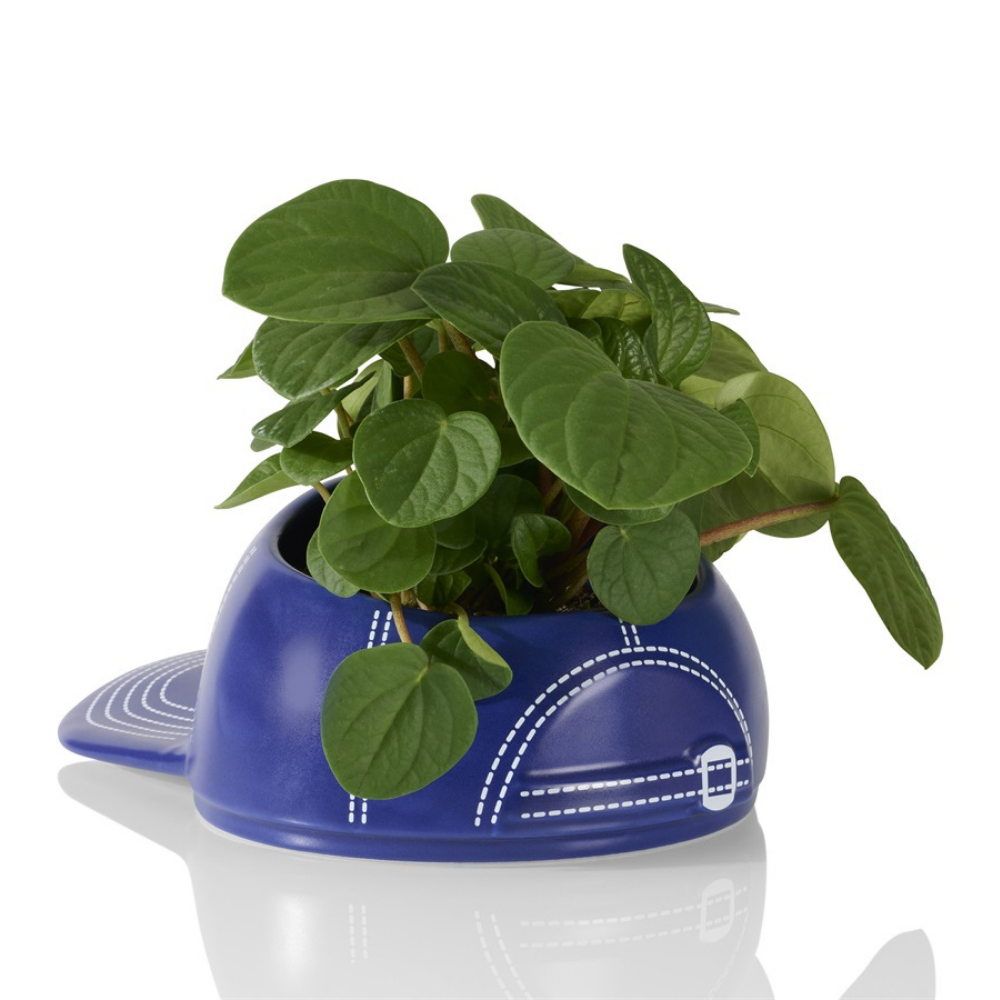 The cap-planter seen from the side, showing the white stitching and the peak in the foreground.