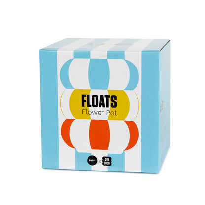 The striped pot with cactus shown in its cube-shaped box