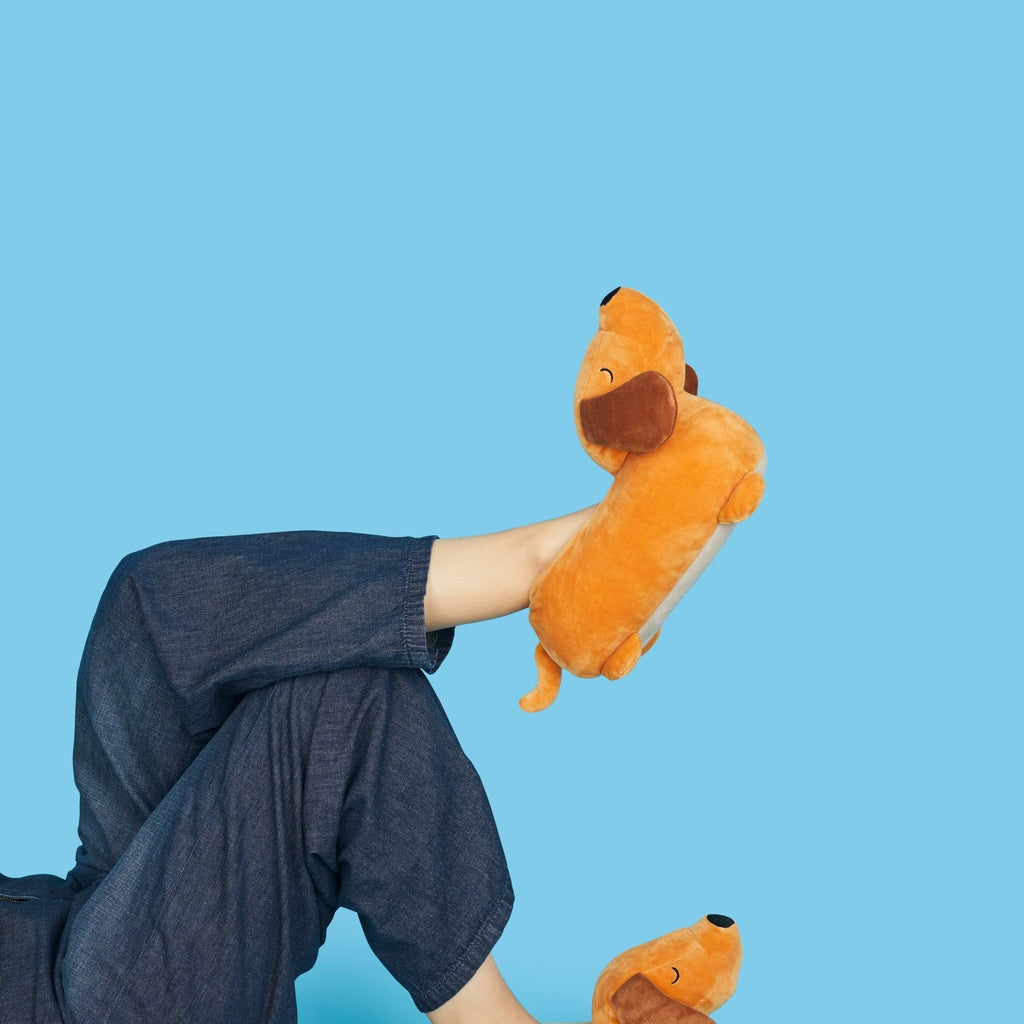Dachshund Slippers, photo 20