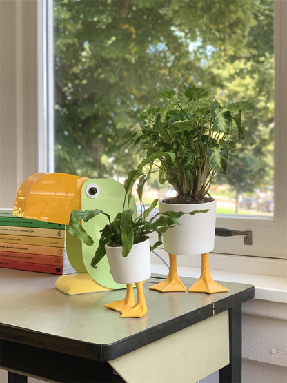 Duck Feet planter with a fern, next to a green parrot-shaped sculpture.