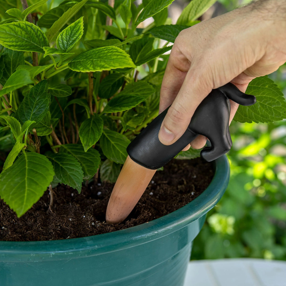Black Dog Plant Waterer, photo 4