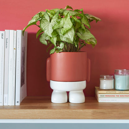 Mr. Standy flower vase with a plant, on a shelf against a red wall