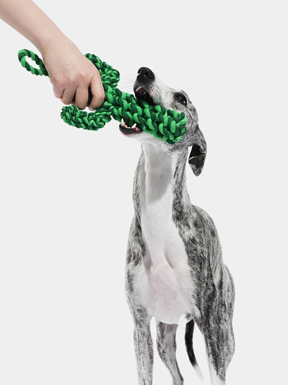 Oasis Cactus Rope Dog Toy, photo 3