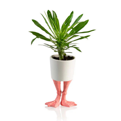 The Fenicottero vase with a green plant potted inside the white cup.
