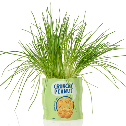 Crunchy Peanut vase shaped like a green bag, planted with chive grass.