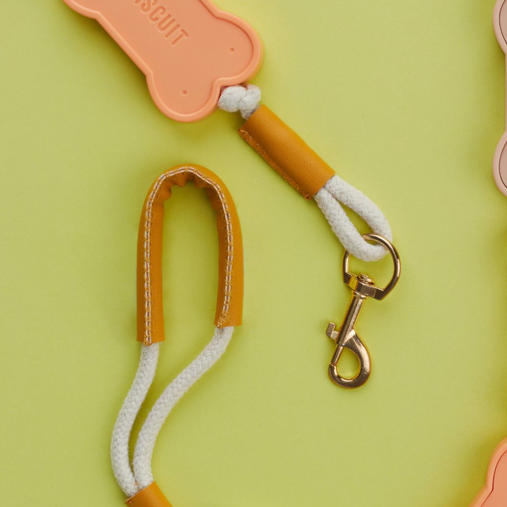 Biscuit Lead, photo 6