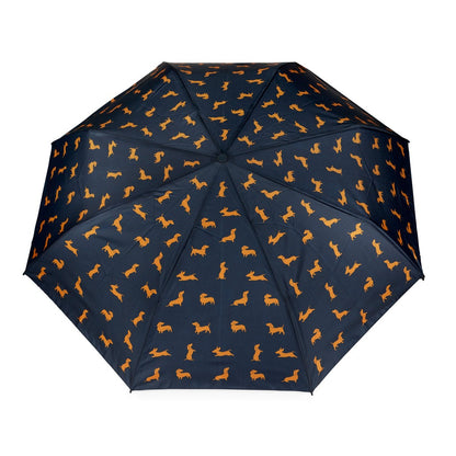 Dachshund Umbrella, photo 27
