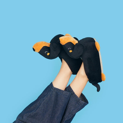 Dachshund Slippers, photo 55