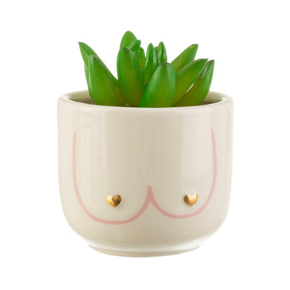 Mini Girl Power vase in white with the same pink outline, holding a small succulent plant.