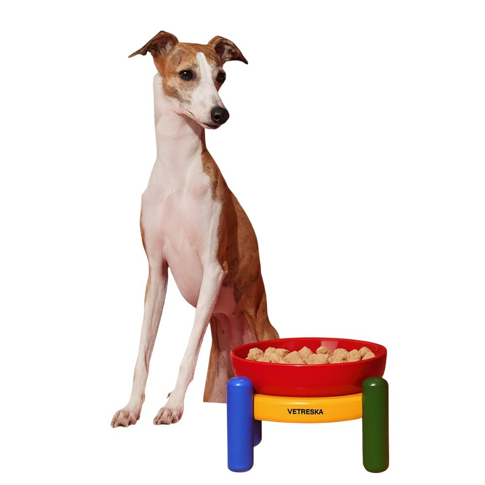 Chroma Pet Bowl with Stand and Mat, photo 9