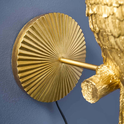 Percy Applique Pappagallo, foto 8