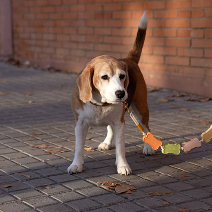 Biscuit Lead, photo 8