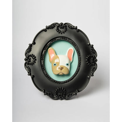 Cornice Bulldog Orlando, foto 12