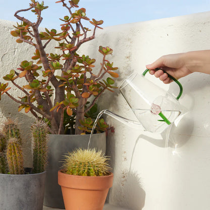 Botanical Tulip watering can glass jug with a green handle, pouring water onto a cactus pot.
