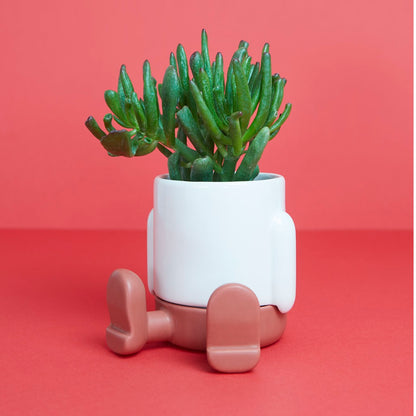 Mr. Sitty Vase, photo 3