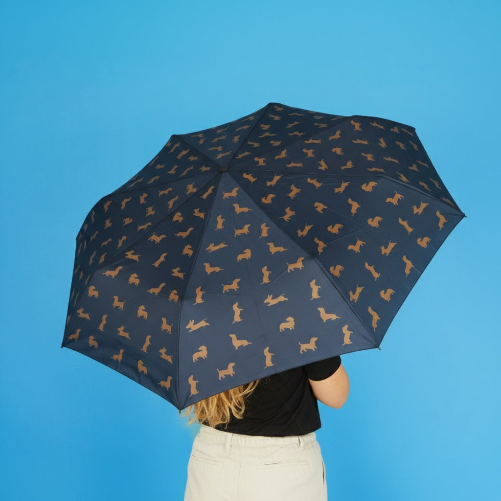 Dachshund Umbrella, photo 32