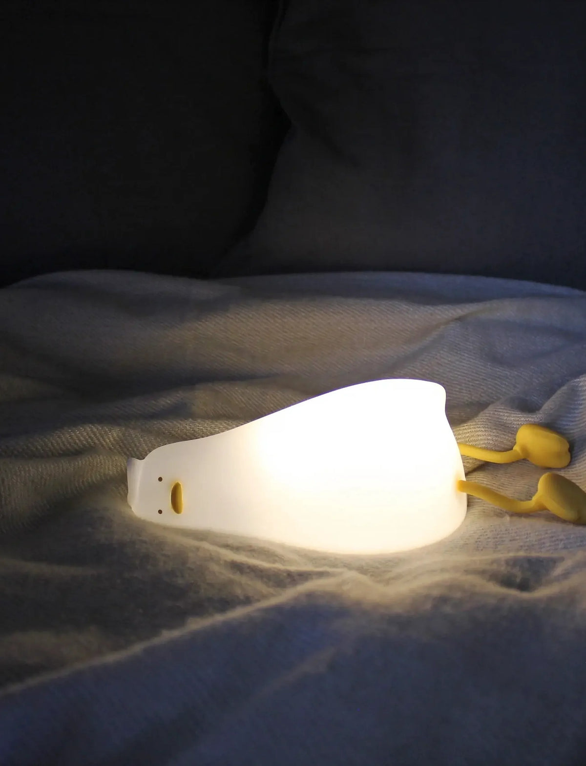Luce da Notte Anatra, foto 2