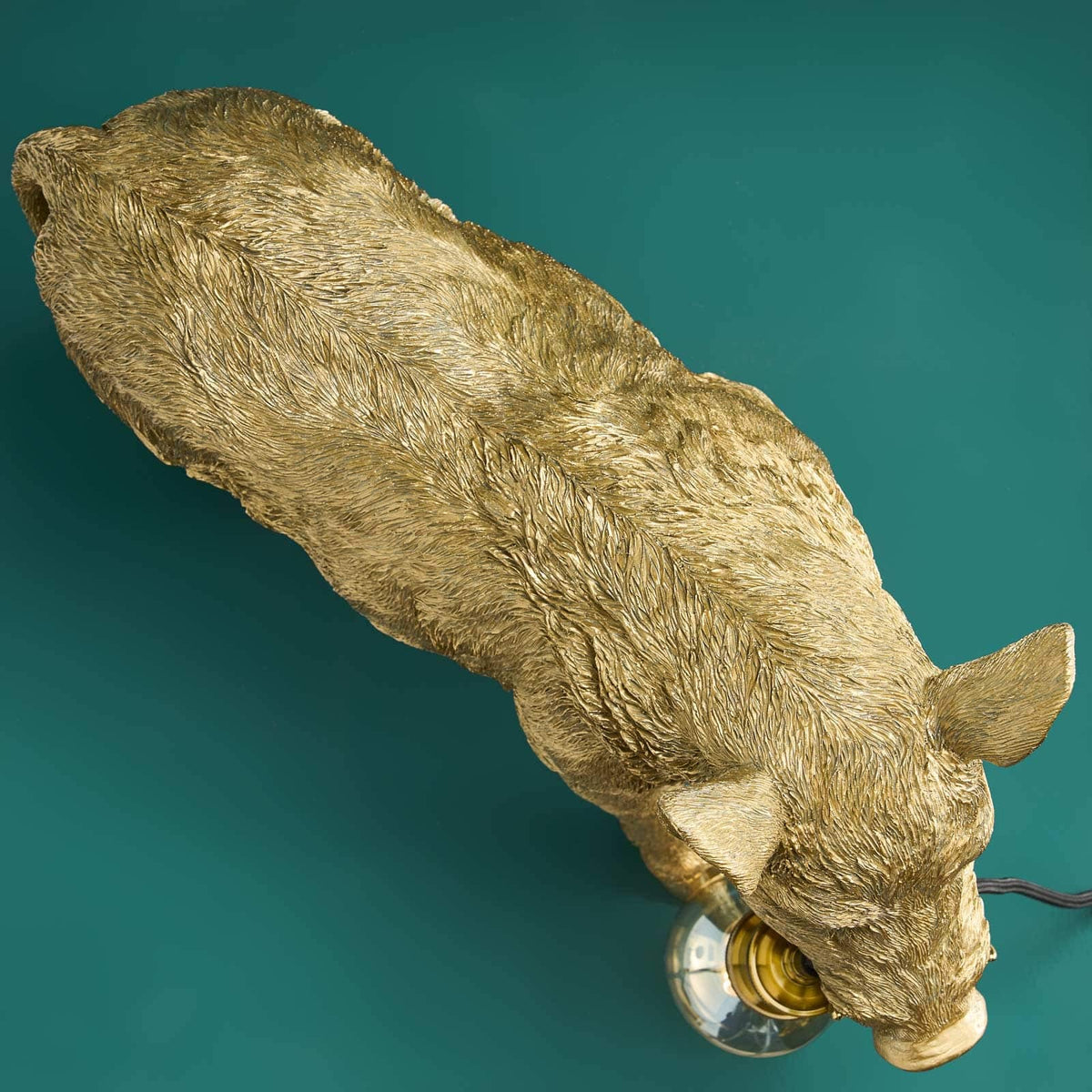William Lampada da Tavolo Cinghiale, foto 9