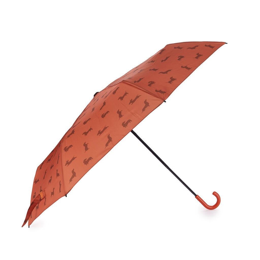 Dachshund Umbrella, photo 6