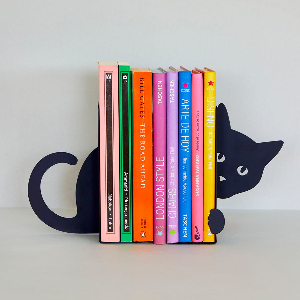 Same cat bookend on a grey background, holding up colourful books