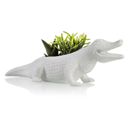 White crocodile-shaped planter with its mouth open, holding a succulent