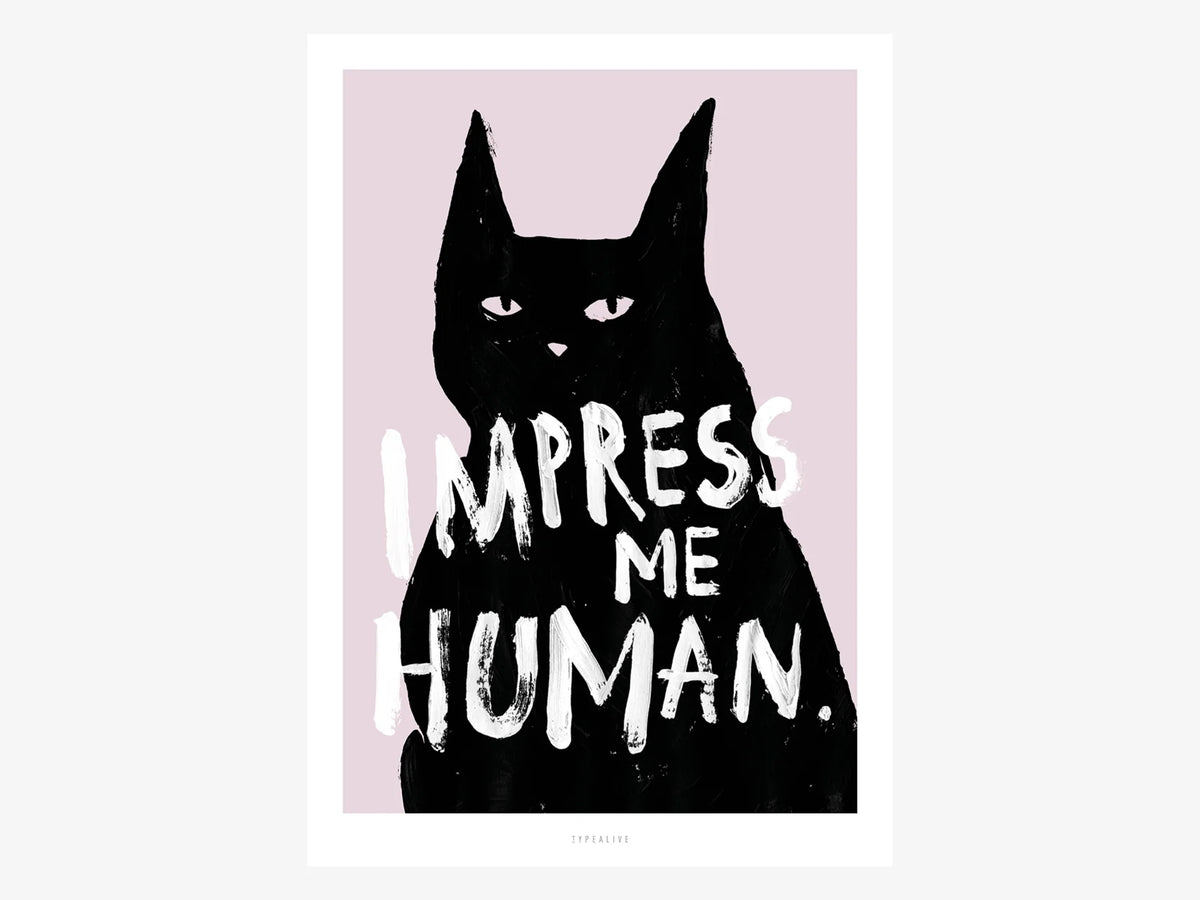 Poster Impress Me: illustrazione di un gatto nero su sfondo rosa con la scritta «IMPRESS ME HUMAN.», senza cornice.