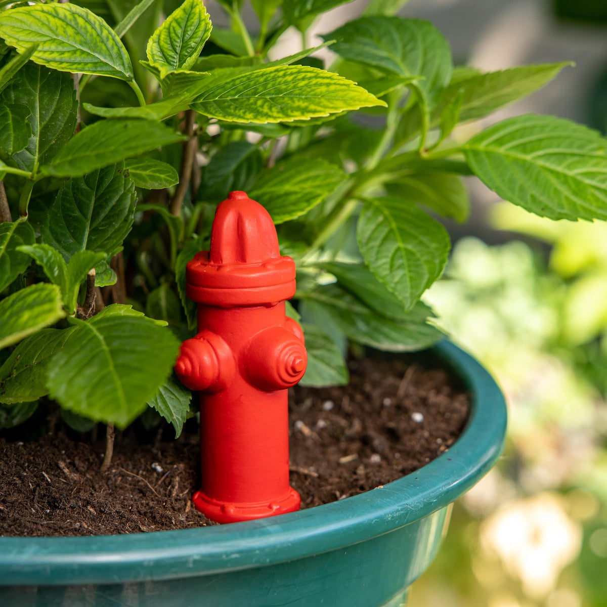 Fire Hydrant Plant Waterer, photo 5