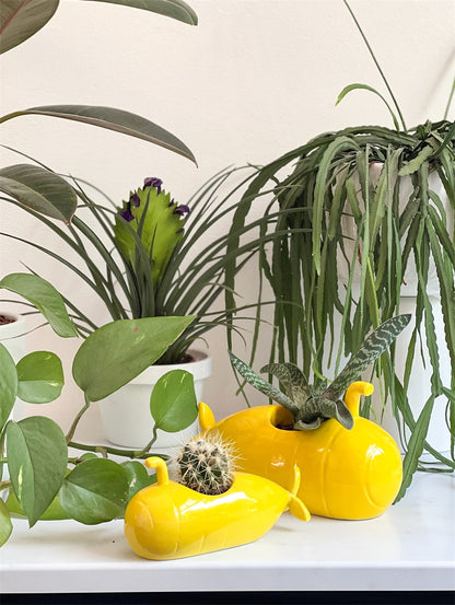 Yellow Submarine vase among houseplants, with a small cactus placed in front.