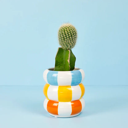Float flower vase in blue, yellow and orange stripes holding a cactus, blue background