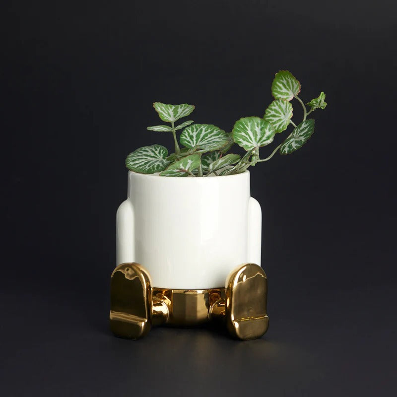Mr. Sitty Vase, photo 10