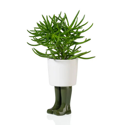 Vaso Piccolo Stivali Wellington, due esemplari verdi con piante diverse su sfondo bianco.