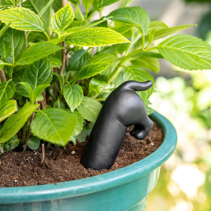 Black Dog Plant Waterer, photo 6