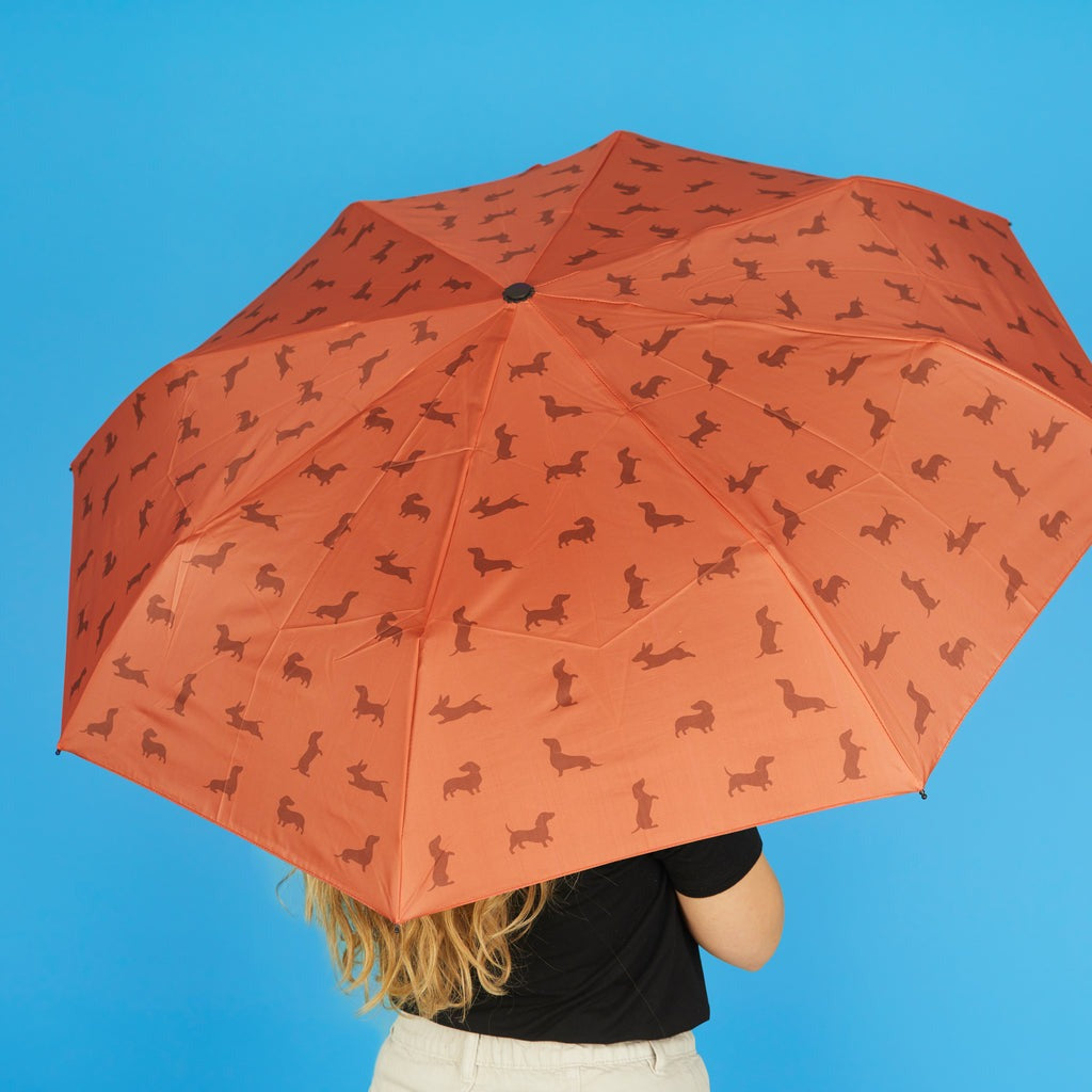 Dachshund Umbrella, photo 10
