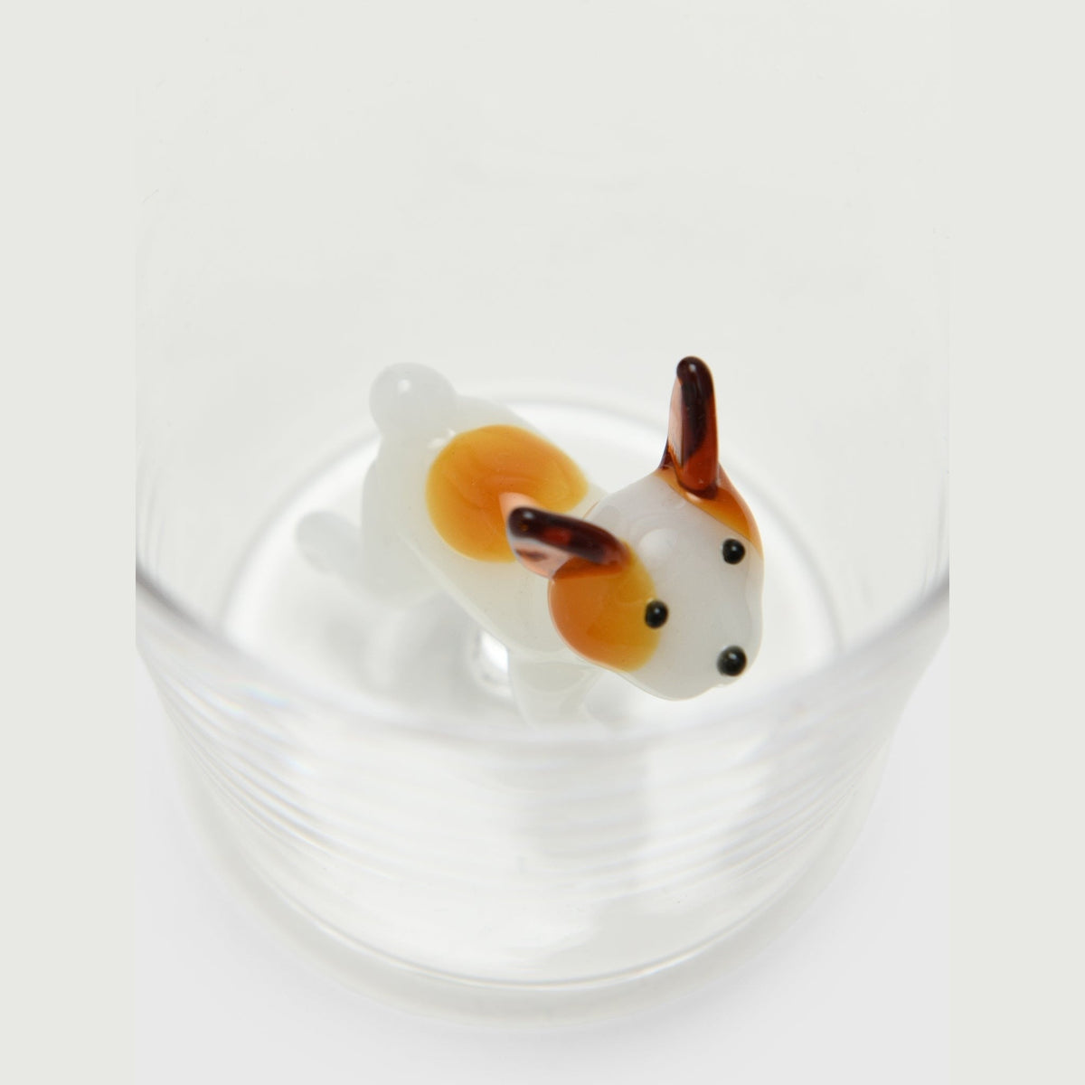 Dog Glass, photo 34