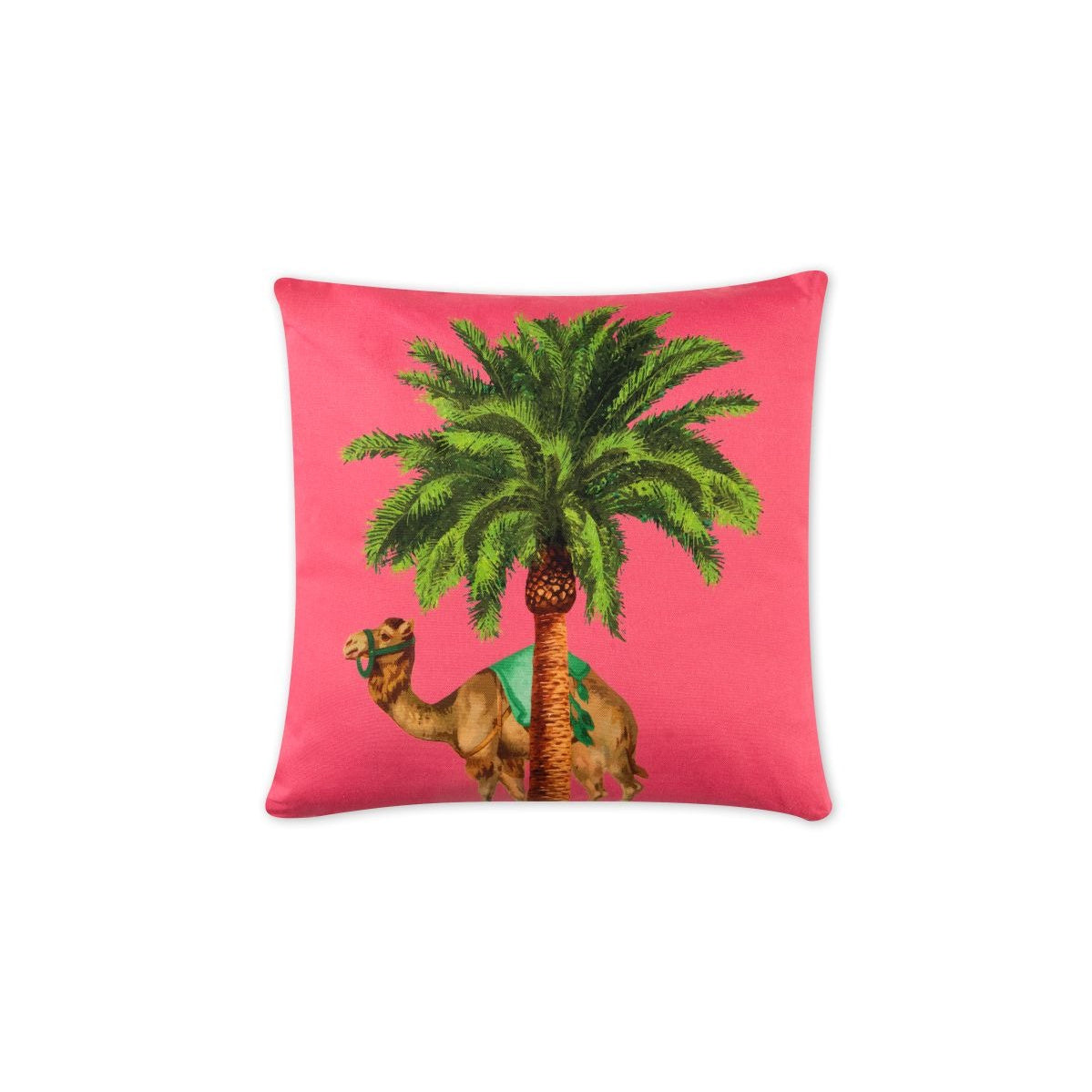 Cirque du Marrakech Cushion, photo 32