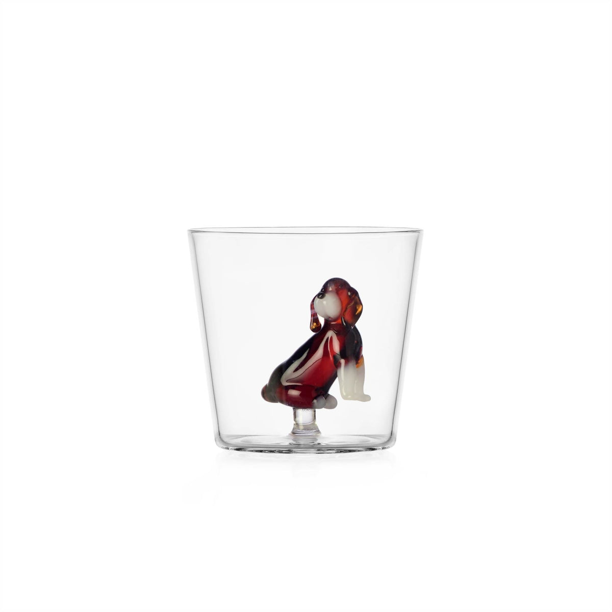 Dog Glass, photo 46