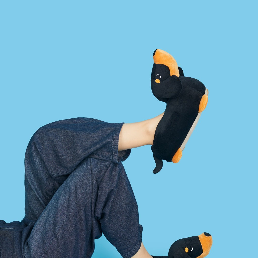 Dachshund Slippers, photo 53