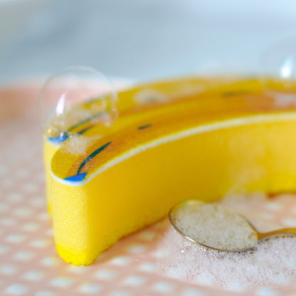 Spugne Tutti Frutti, foto 2