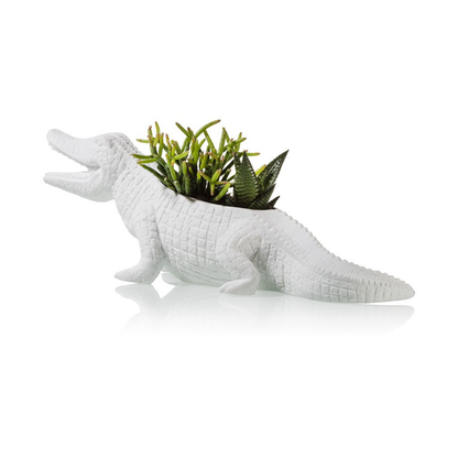 The white crocodile planter from another angle, showing more leaves