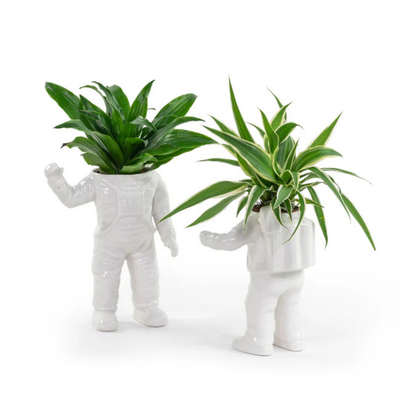 Astronauta vase, two white pieces each holding a different plant.