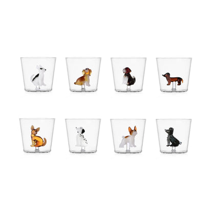 Dog Glass, photo 42