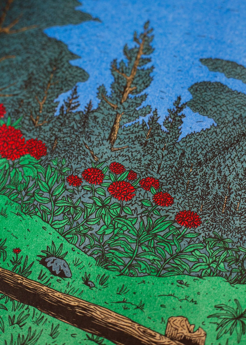 Nowhere in Portugal poster, close-up on bushes with red flowers and pine trees