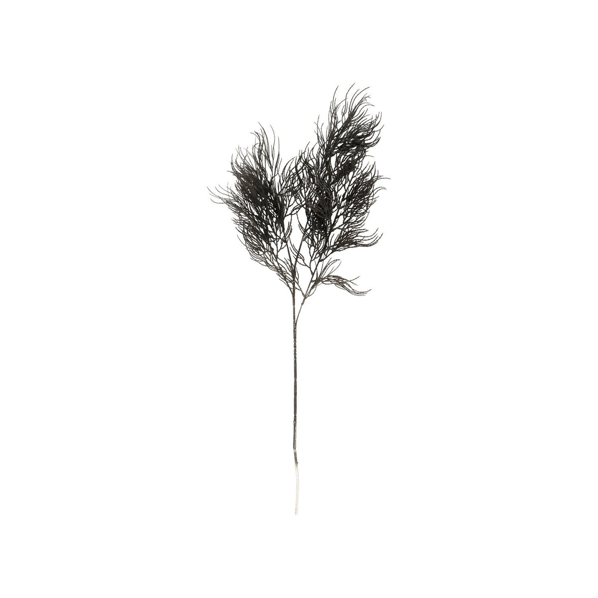 Black Artificial Asparagus Fern Branch - Strabello Design