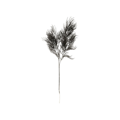 Black Artificial Asparagus Fern Branch - Strabello Design