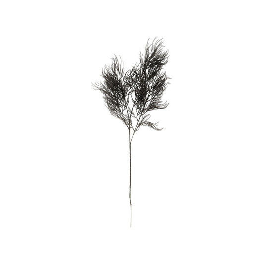 Black Artificial Asparagus Fern Branch - Strabello Design
