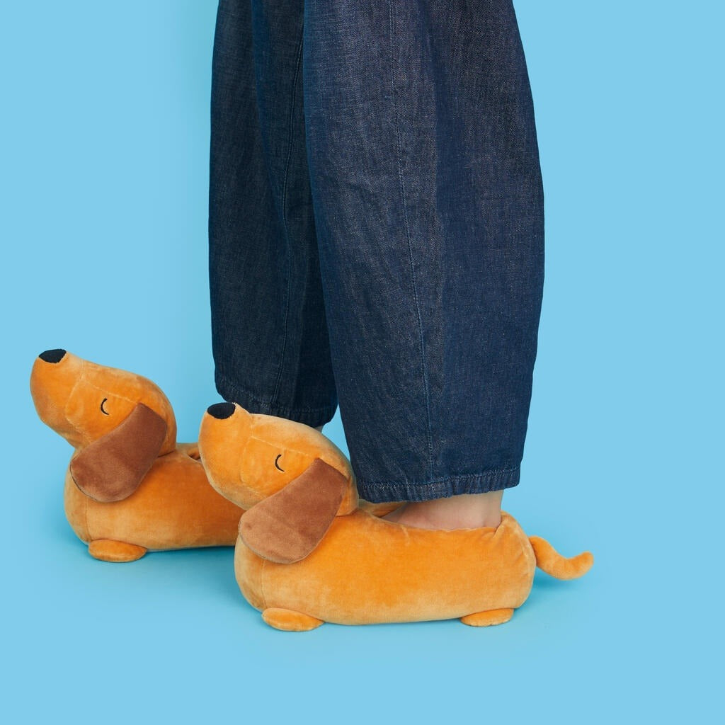 Dachshund Slippers, photo 10