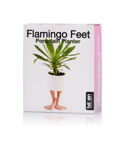 Fenicottero vase, pink packaging with an illustration of the vase on legs.