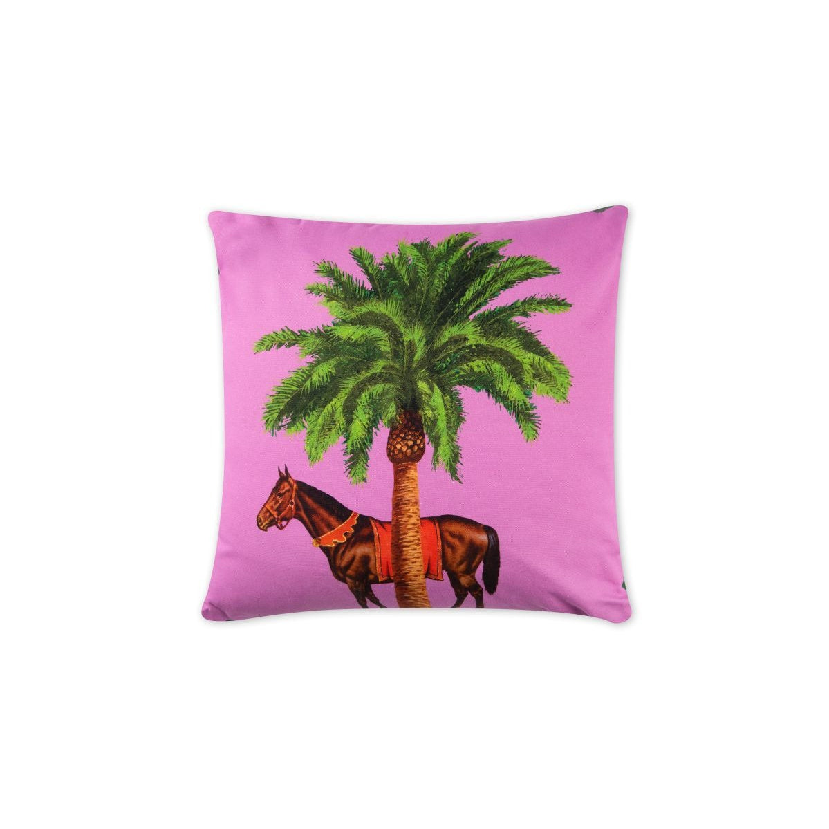 Cirque du Marrakech Cushion, photo 2