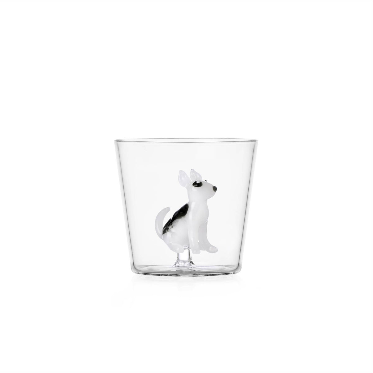 Dog Glass, photo 2