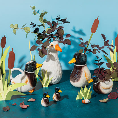 Oca vase among a group of duck and goose-shaped vases with plants on a blue background.